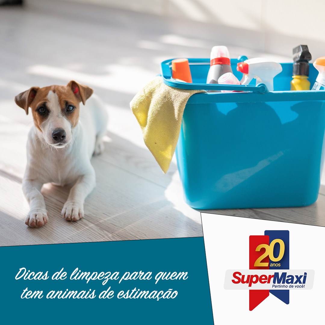 Dicas de limpeza para quem tem animais de estimação